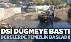 DSİ düğmeye bastı: Derelerde temizlik başladı