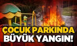 Çocuk parkında büyük yangın!