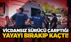 Vicdansız sürücü çarptığı yayayı bırakıp kaçtı!