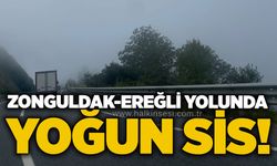 Zonguldak-Ereğli yolunda yoğun sis!