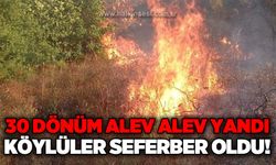 30 dönüm yandı, ekipler ve köylüler seferber oldu