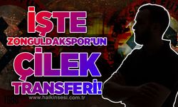 İşte Zonguldakspor'un çilek transferi!