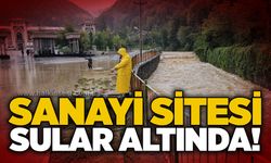 Sanayi sitesi sular altında!