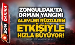 Zonguldak'ta orman yangını: Alevler rüzgarın etkisiyle hızla büyüyor!