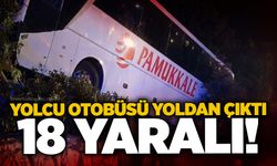 Yolcu otobüsü yoldan çıktı: 18 yaralı!