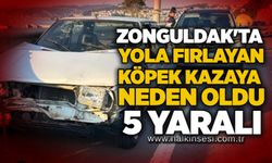Zonguldak'ta yola fırlayan köpek kazaya neden oldu: 5 yaralı