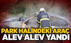 Park halindeki araç alev alev yandı