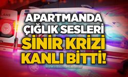Apartmanda çığlık sesleri: Sinir krizi kanlı bitti!