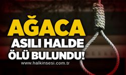 Ağaca asılı halde bulundu!