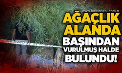 Ağaçlık alanda başından vurulmuş halde bulundu!
