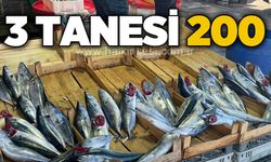 3 tanesi 200 TL