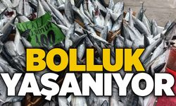 Bolluk yaşanıyor