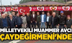 Milletvekili Muammer Avcı Çaydeğirmeni'nde