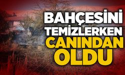 Bahçesini temizlerken canından oldu