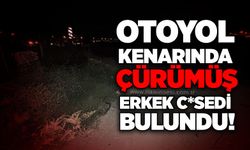 Otoyol kenarında çürümüş erkek cesedi bulundu!