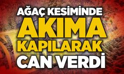 Ağaç kesiminde akıma kapılarak can verdi