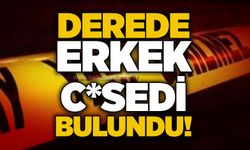 Derede erkek c*sedi bulundu!