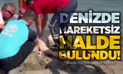 Denizde hareketsiz bulunan vatandaş hastaneye kaldırıldı
