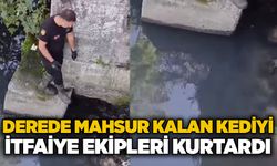 Derede mahsur kalan kediyi itfaiye ekipleri kurtardı