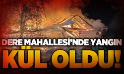 Dere Mahallesi'nde samanlık yangını: Gece alevlerle aydınlandı!