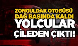 Zonguldak otobüsü dağ başında kaldı: Yolcular çileden çıktı!