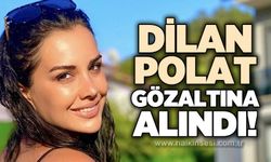 Dilan Polat, “Cumhurbaşkanına hakaret” soruşturması kapsamında gözaltına alındı