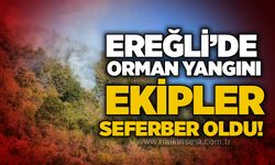 Ereğli’de orman yangını: Ekipler seferber oldu!