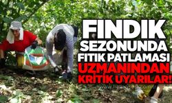 Fındık sezonunda fıtık patlaması: Uzmanından kritik uyarılar!