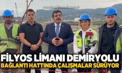 Filyos Limanı Demiryolu Bağlantı Hattı'nda çalışmalar sürüyor