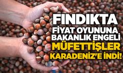 Fındıkta fiyat oyununa bakanlık engeli: Müfettişler Karadeniz'e indi!
