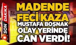 Madende feci kaza: Mustafa Boşnak olay yerinde can verdi!