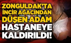 Zonguldak'ta incir ağacından düşen adam hastaneye kaldırıldı