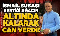 Orman kesimi sırasında ağacın altında kalan İsmail Subaşı hayatını kaybetti!