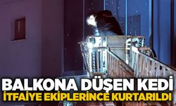 Balkona düşen kedi itfaiye ekiplerince kurtarıldı