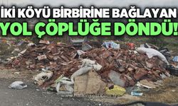Köy yolunu çöplük alana çevirmişler: Rezalet diz boyu!