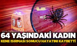 64 yaşındaki kadın kene ısırması sonucu yaşamını yitirdi!