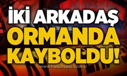 Mantar toplarken kaybolan 2 kişiye 14 saat sonra ulaşıldı