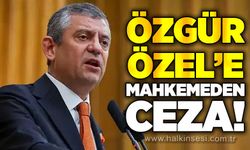 Mahkeme kararını verdi: Özgür Özel'e ceza!