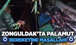Zonguldak’ta palamut bereketine Maşallah!