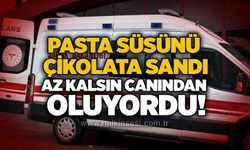 Pasta süsünü çikolata sandı, Az kalsın canından oluyordu!