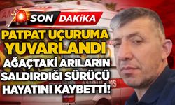 Patpat uçuruma yuvarlandı: Ağaçtaki arıların saldırdığı sürücü hayatını kaybetti!