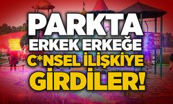 Parkta erkek erkeğe c*nsel ilişkiye girdiler!