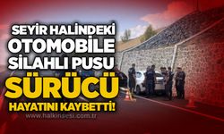 Seyir halindeki otomobile silahlı pusu: Sürücü hayatını kaybetti!