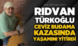 Zonguldak'ta ceviz ağacı budama kazası: 1 ölü, 1 yaralı