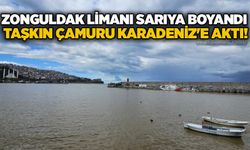 Zonguldak Limanı sarıya boyandı: Taşkın çamuru Karadeniz'e aktı!