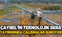ÇAYBEL'in Teknolojik Sera projesinde çalışmalar hızla sürüyor