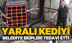 Filyos’ta yaralı yavru kedi tedavi altına alındı