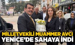 Milletvekili Muammer Avcı Yenice’de sahaya indi