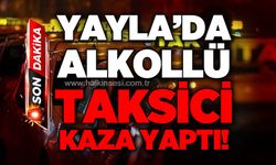 Yayla'da alkollü olduğu öne sürülen taksici kaza yaptı: 1 yaralı