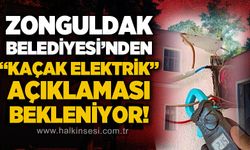 Pembe Köşk’te kaçak elektrik kullanıldığı iddiası: Zonguldak Belediyesi’nden açıklama bekleniyor